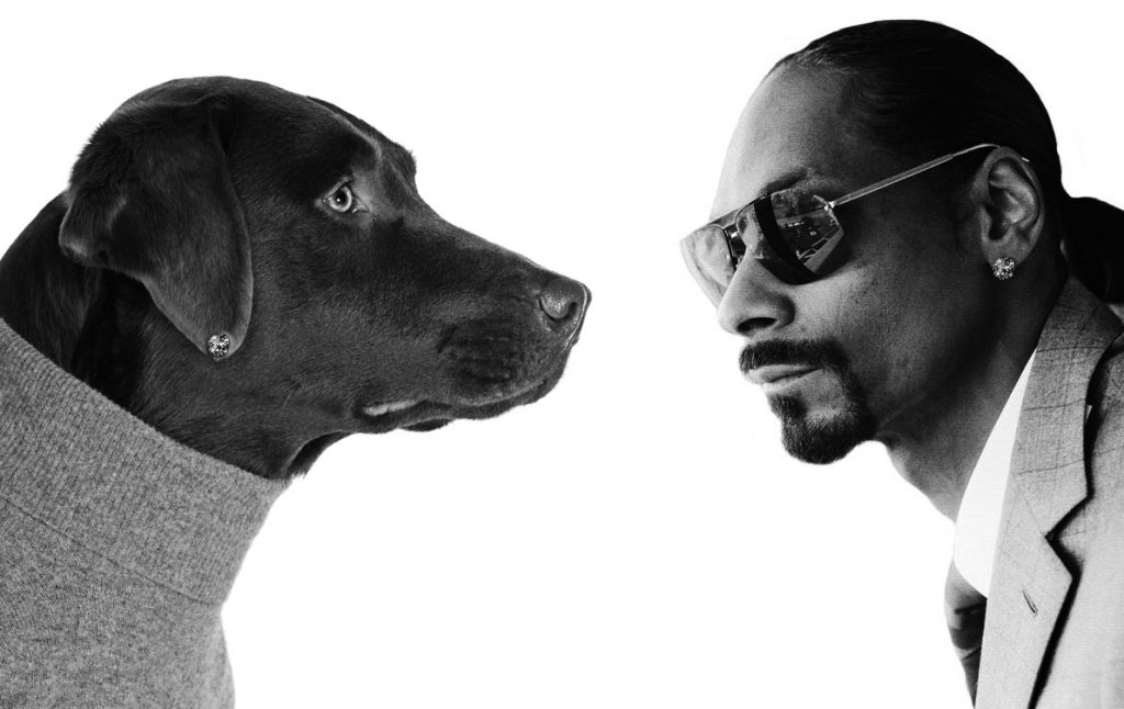 Snoop Dogg Gibt Konzert In Wien Christlclear